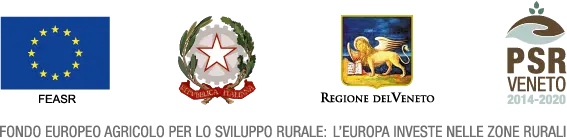 fondo europeo