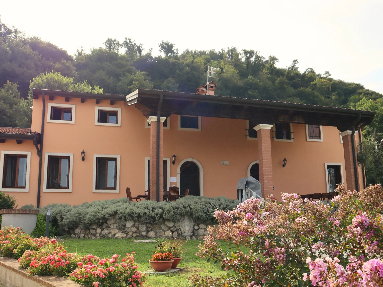 foto esterni abbraccio della vigna