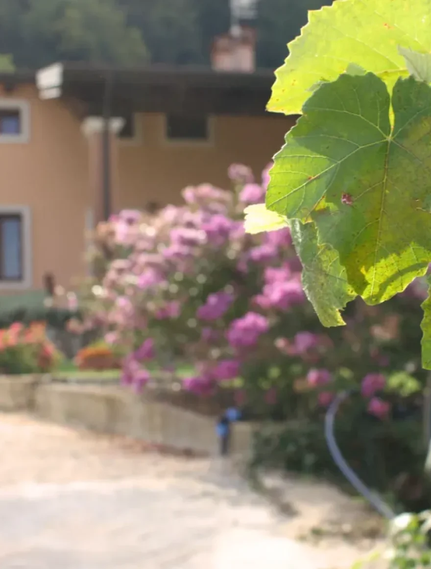 foto alloggio esterni abbraccio della vigna montecchio vicenza